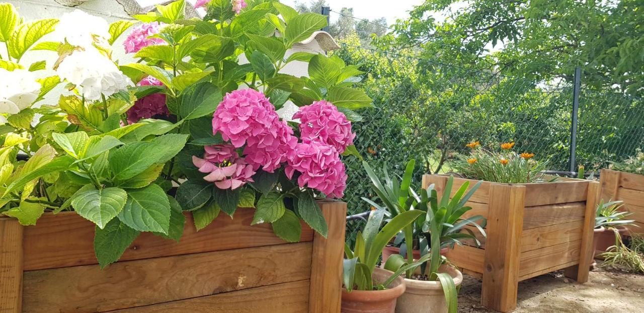 Finca Sa Cova De Mallorca Sencelles Екстериор снимка