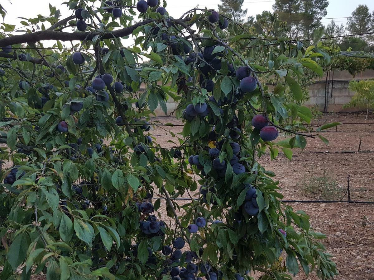 Finca Sa Cova De Mallorca Sencelles Екстериор снимка