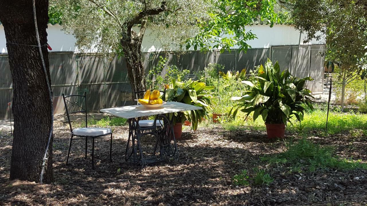 Finca Sa Cova De Mallorca Sencelles Екстериор снимка
