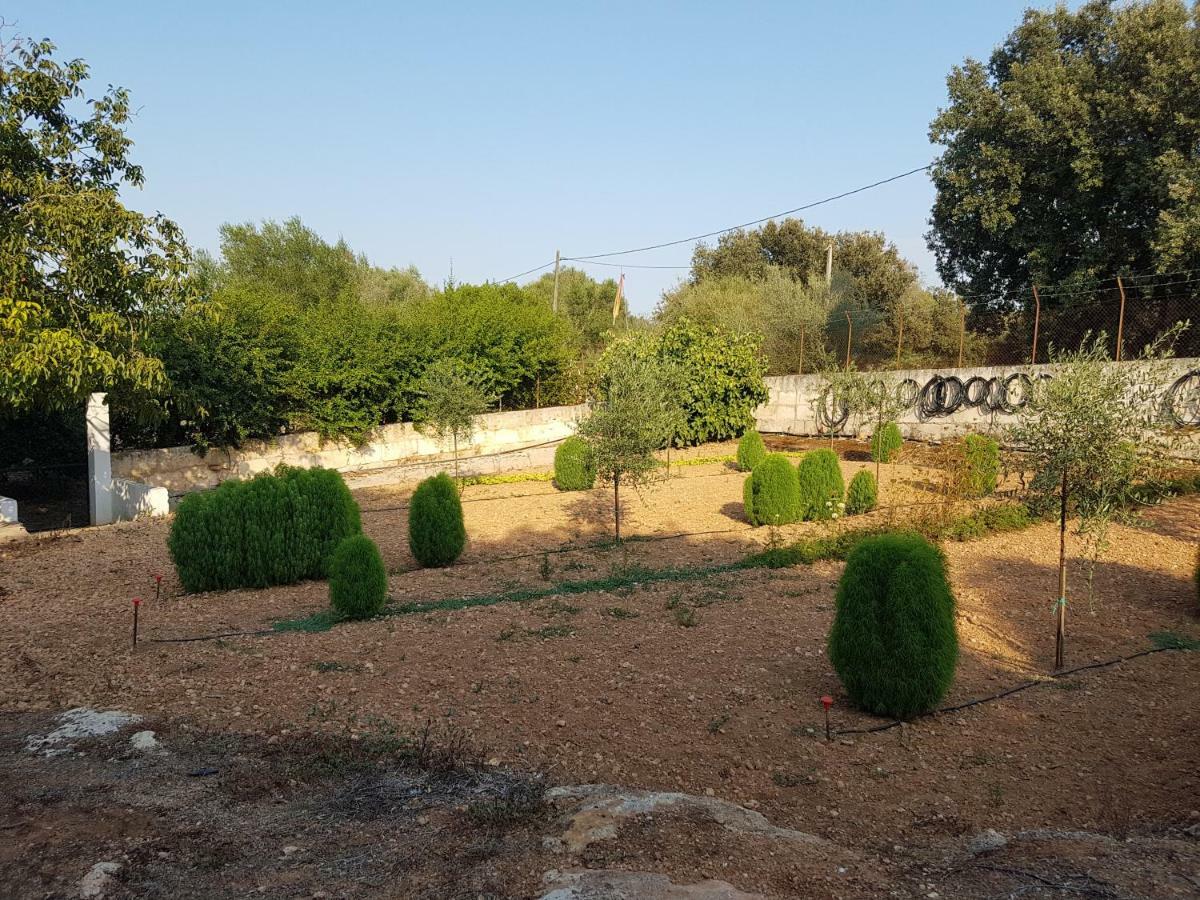 Finca Sa Cova De Mallorca Sencelles Екстериор снимка