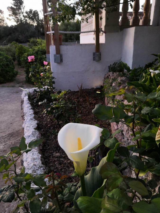 Finca Sa Cova De Mallorca Sencelles Екстериор снимка