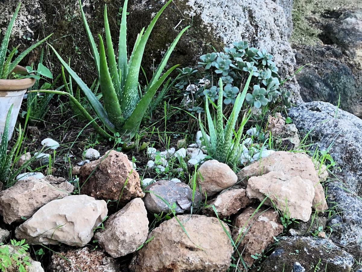 Finca Sa Cova De Mallorca Sencelles Екстериор снимка